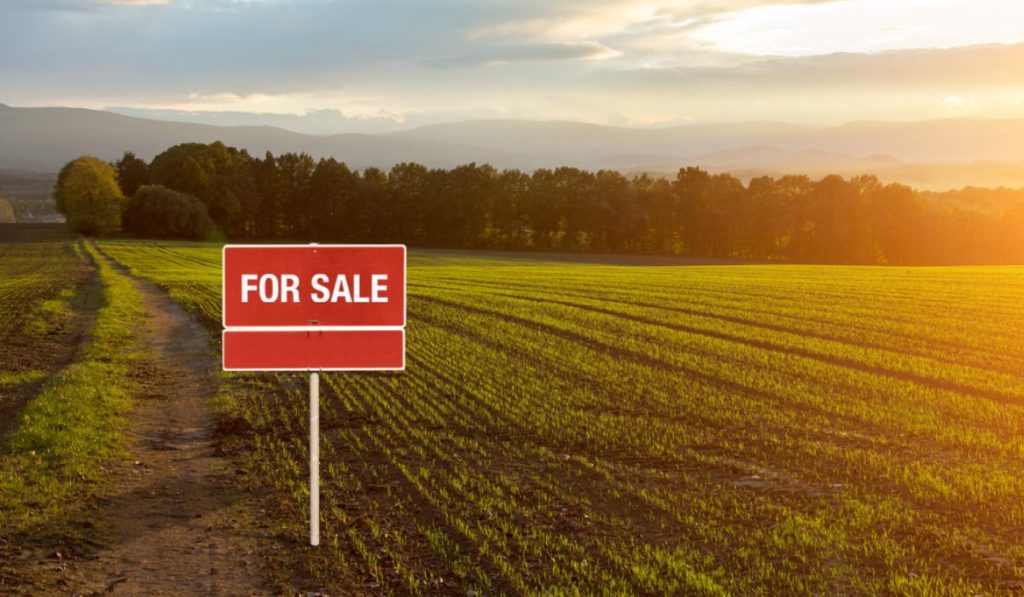 Is Buying Land a Wise Investment? Exploring the Pros and Potential
