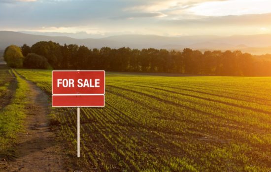 Is Buying Land a Wise Investment? Exploring the Pros and Potential